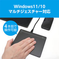 ナカバヤシ 高精度USB接続タッチパッド　6インチサイズ TTPーUS03/BK 1個