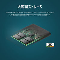 Transcend（トランセンド）ポータブルSSD　ESD270C　250GB TS250GESD270C 1個