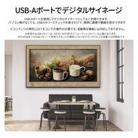 【設置込】JAPANNEXT 65インチ4K液晶モニター 純正スタンドセット JN-HDR650IPSUHDJRF-KUMI 1セット（直送品）