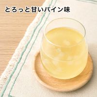 伊藤園 もぐっとナタデココ＆とろあまパイン 380g 1セット（48缶）