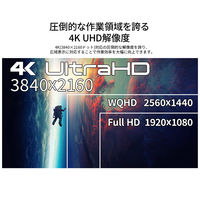 JAPANNEXT 55インチ4Kディスプレイ・スタンド(JN-3275-JRSA)セット 3年保証 JN-HDR553IPS4KJRSA 1セット（直送品）