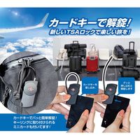 和気産業 TSAロック カードキー IB-164 1セット(4個)（直送品）