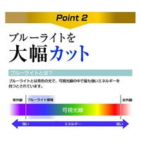 液晶保護フィルム 高硬度 ブルーライトカット クリア 光沢 21.3 (スクエア) インチ free-n9bc-213square 1枚（直送品）