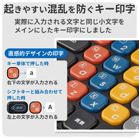 iPadケース一体型キーボード 有線接続 かな無し 10.9インチ iPad第10世代専用 TK-KP12UMBK エレコム 1個（直送品）