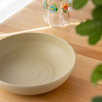 1956レストラン・サプライ ボウル 20cm Planta プランタ プラスチック バーチ 432532 1個（直送品）