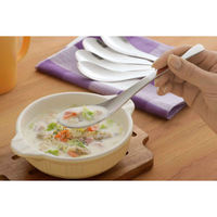 下村企販 レンゲスプーン 18cm ステンレス 5本組 436328 1個（直送品）