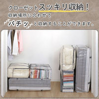 アストロ 衣類収納バッグ クリア 112-09 1枚（直送品）