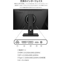 ジャパンネクスト  23.8インチ ゲーミングモニター(1920x1080/IPS/200Hz) JN-IPS238G200F-C6（直送品）