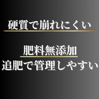 【園芸用品】プロトリーフ 室内向け観葉・多肉の土プレミアム 3.5L 1袋