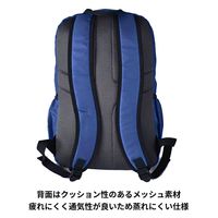 スワン SIERRA FIELD AD ミニDリュック 2230 19L ネイビー 1個（直送品）