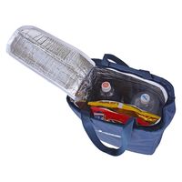 スワン CAPTAIN STAG バッグイン 保冷バッグ 1337 23L ブラック 1個（直送品）