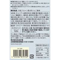 無印良品 大粒フルーツ飴 青りんご風味 ２９ｇ 1セット（1袋×3） 良品計画