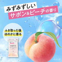 メリット　ドライシャンプーシート　さらっと髪まとまるタイプ　20枚入　花王