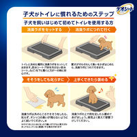 デオシート 消臭ラボ トイレシステム 専用 メッシュガード レギュラー 1個 ユニ・チャーム