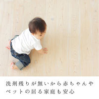 セスキの激落ちくんシート キッチン用 お掃除シート 油汚れ 洗剤不使用 1パック（20枚入）レック