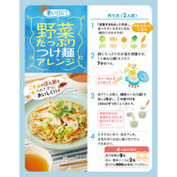 煮込みラーメン 鶏うま塩味 1箱 永谷園