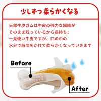 ディンゴ チキンボーンストロング L 中型～大型犬用 1本入 1袋 スペクトラム ブランズ ジャパン 犬用 おやつ