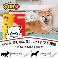 ディンゴ チキンボーンストロング L 中型～大型犬用 1本入 1セット（1袋×3）スペクトラム ブランズ ジャパン 犬用 おやつ