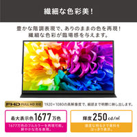 【まとめ買いがお得】アイリスオーヤマ モバイルモニター PCモニター USB-C ディスプレイ 18.5インチ DP-EF184S-B