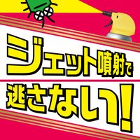 害虫駆除 スプレー 虫コロリアース スーパージェット 480mL 1セット（1本×2） アース製薬
