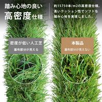 ミナト電機工業 リアル人工芝 通常タイプ 1m×5m ショート AT-ST200-105 1個（直送品）