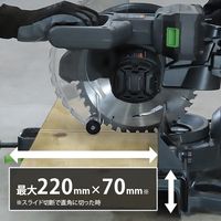 ミナト電機工業 18V充電式 卓上スライド丸ノコ TS-1810+5Ahバッテリー他セット TS-1810 1個（直送品）