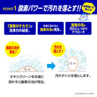 グラフィコ オキシクリーン EX つめかえ用 1000g 4582107955699 1個