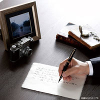 呉竹 くれ竹万年毛筆 夢銀河 山中塗蒔絵 瑞祥松竹梅 中字 DAY140-52 1本（直送品）