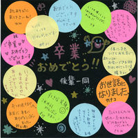 ステッドラー メタリックマーカーペン シルバー 8323-81 1個