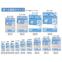 アスカ ラミネートフィルム 100μ BH-121 1袋(20枚入)