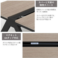 スマイル LASH デスク 幅1200×奥行600×高さ720mm ダークアッシュ×ブラック 1台（取寄品）