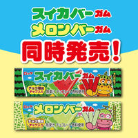 スイカバーガム 9枚入 20個 ロッテ ガム 個包装