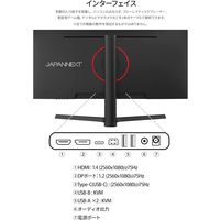 JAPANNEXT 29インチ ワイド液晶モニター チルト機能・上下昇降機能 JNーIPS292WFHDーHSPーC65W 1台