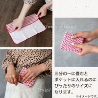 日繊商工 ジャパニーズスタイルやわらかガーゼハンカチ あさのは 約30×30cm 1枚入 JS-4136 1箱(1枚入)（直送品）