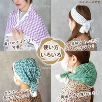 日繊商工 ジャパニーズスタイル やわらかガーゼてぬぐい しっぽう 約34×90cm 1枚入 JS-6141 1箱(1枚入)（直送品）