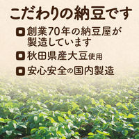 ヤマダフーズ 【WEB限定】 国産 ひきわり フリーズドライ納豆 3g×20P×2個 4901118011482 1セット(60g×2個)（直送品）