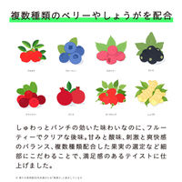 TWO 2Energy 250ml×5本 4589570801348 1セット(250ml×5本)（直送品）