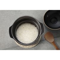 シー・シー・ピー CCP 電子レンジ調理土鍋 TETTORI(テットリ) BFーDN97ーBK 1台