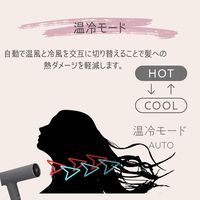 マクセル Angelique プラズマイオンヘアドライヤー ベージュ MXDR-700A-BE 1台