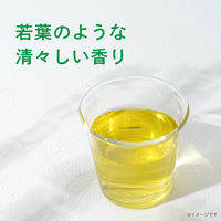 伊藤園 お～いお茶 緑茶 PURE GREEN 2L 1セット（12本）