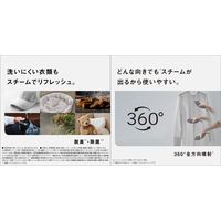 パナソニック 衣類スチーマー NI-FS60B-A 1台