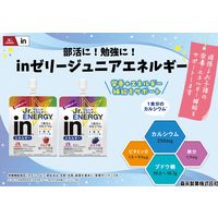 inゼリー（インゼリー） ジュニアエネルギー りんご味 1セット（1個（180g）×36） 成長期サポート 栄養機能食品 森永製菓