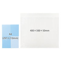 軽梱包用エアー緩衝袋 フラップあり 500×400+50mm　100枚入り PPFA71 1個（100枚） オリジナル