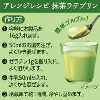 伊藤園 濃い京都宇治抹茶ラテ チャック付き袋タイプ 1袋（160g）