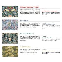 三和トレーディング モリス RCディフューザーリキッドボトル アロマ  ピオニーピーチ 180ml 1個