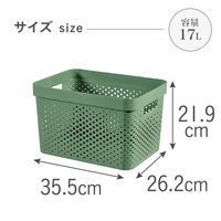 CURVER(カーバー) Infunity バスケット 17L グリーン CVー072 荷物置き　荷物入れ　1個