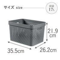 CURVER(カーバー) Infunity バスケット 17L ダークグレー CVー070 荷物置き　荷物入れ　1個