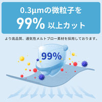 KAEI NIOSH N99防護マスク K0336 カップ型 1個(10枚入)（直送品）