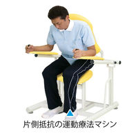 【軒先渡し】高田ベッド アブドミナル2 リハビリ運動療法 腹筋背筋 トレーニング ビニルレザーライムグリーン TB-1221 1台（直送品）