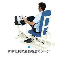 【軒先渡し】高田ベッド チェスト＆レッグＤＸ2 リハビリ運動療法 ビニルレザー白 TB-1214 1台（直送品）